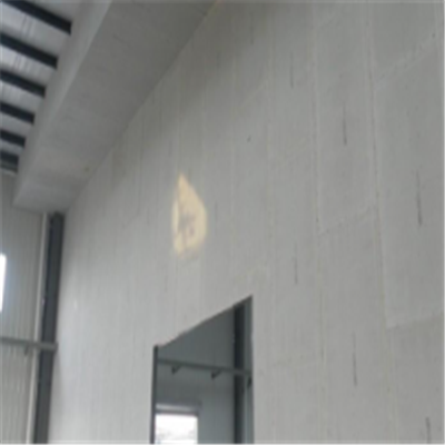 资源新型建筑材料掺多种工业废渣的ALC|ACC|FPS模块板材轻质隔墙板